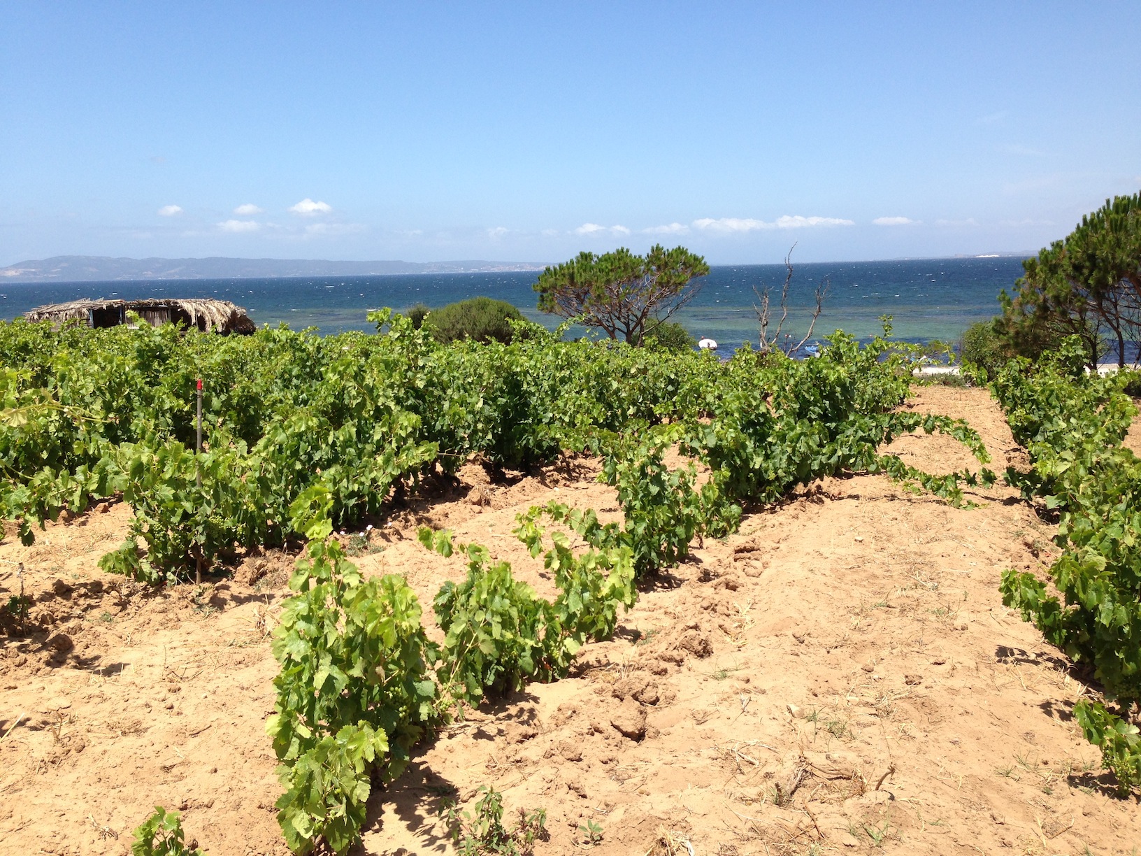 Sardegna - Carignano del Sulcis