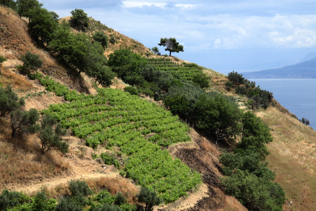 Sicily - Faro