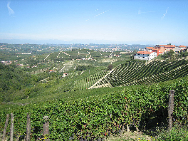 Piedmont - Barolo