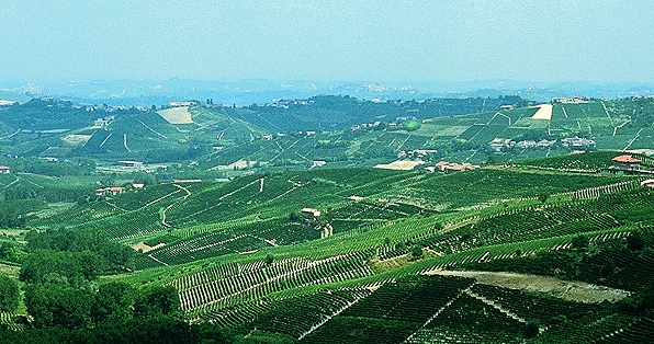 Piedmont - Barbera d'Asti