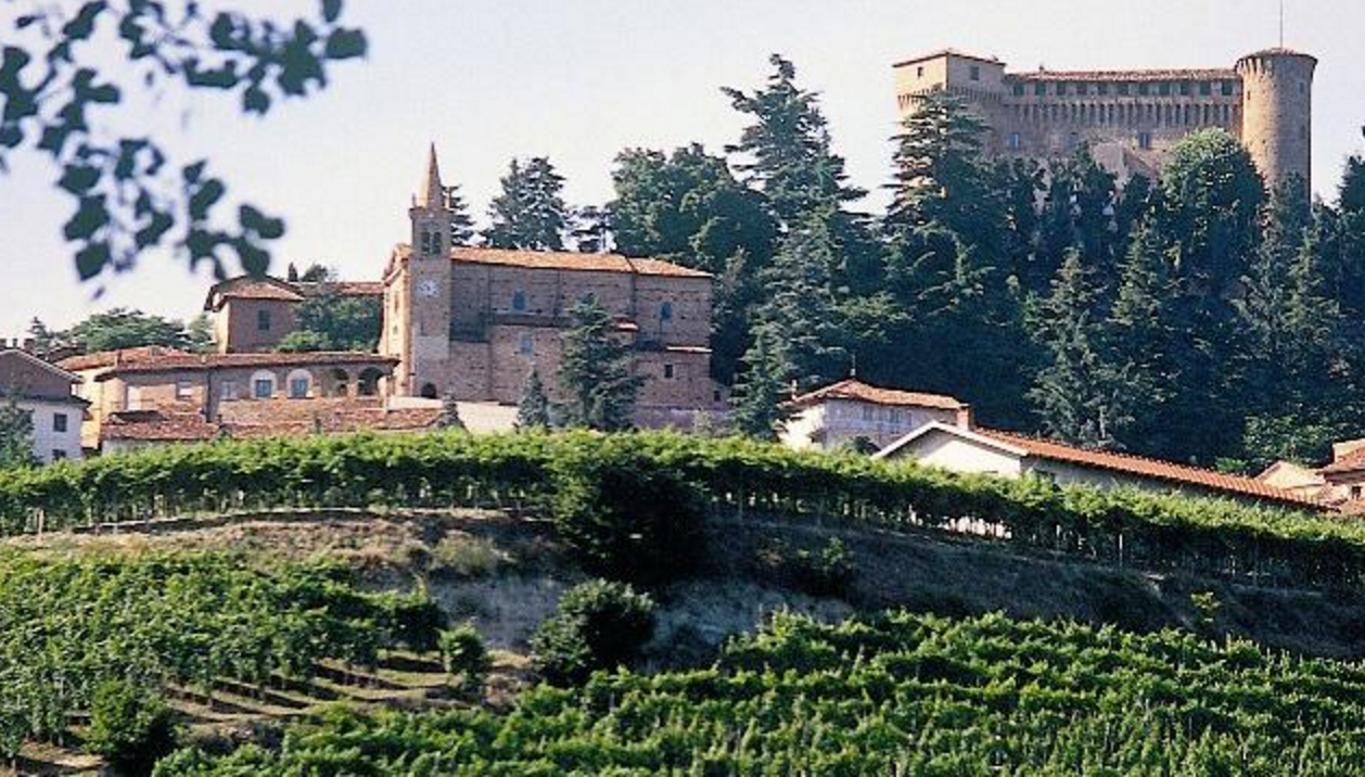 Piedmont - Barbera d'Alba