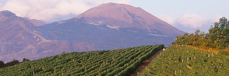 Campania - Vesuvio