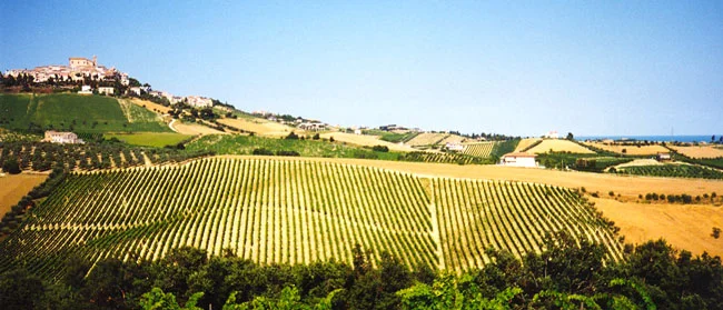 Marche - Falerio