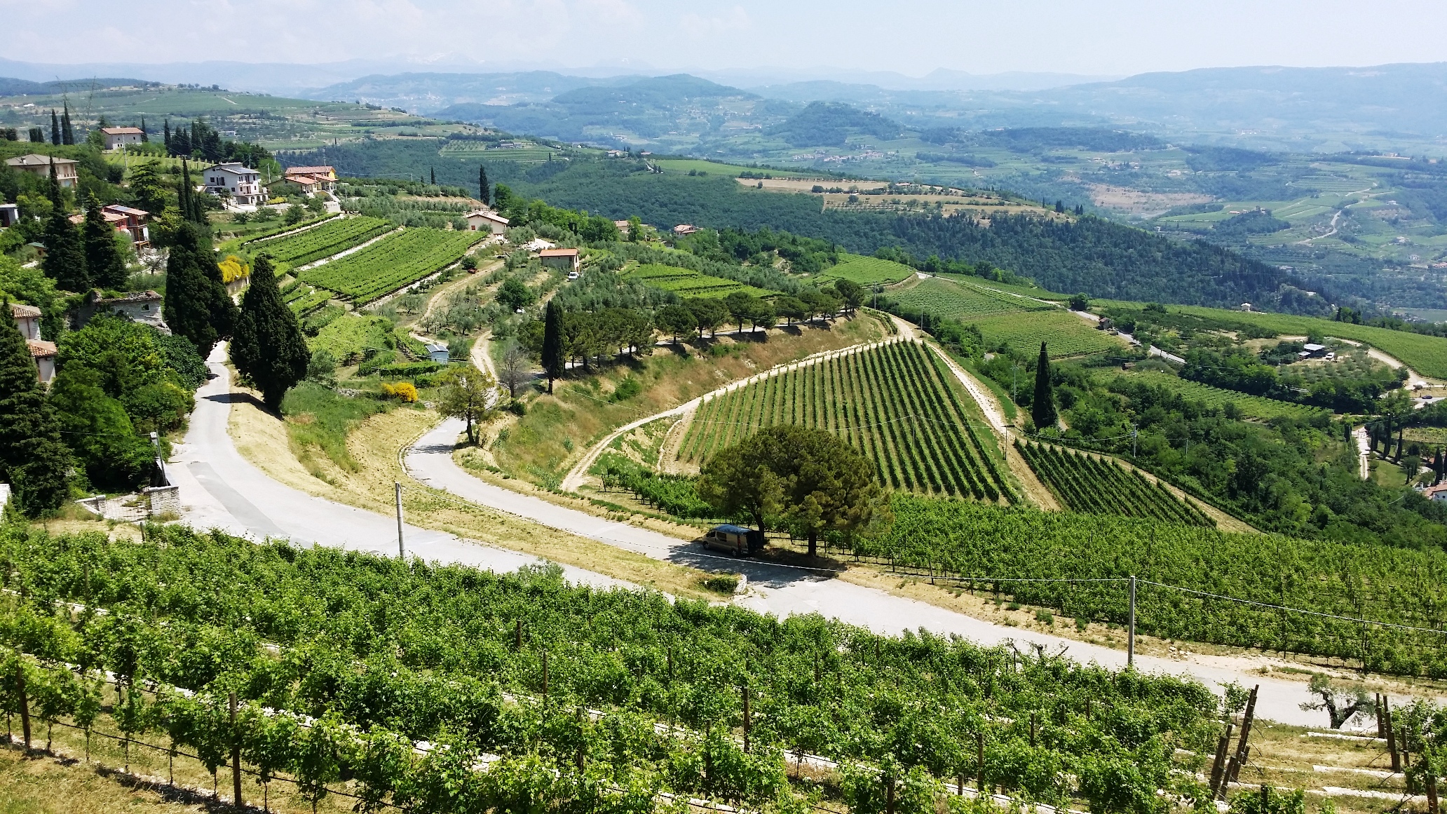 Veneto - Valpolicella