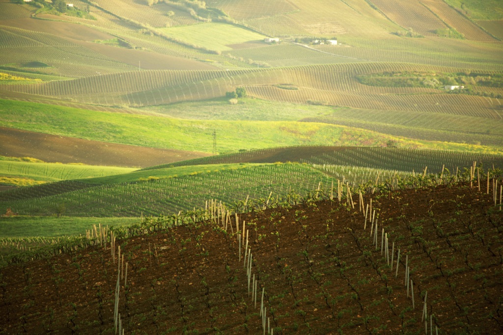 Sicily - Contea di Sclafani