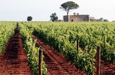 Puglia - Salento Peninsula