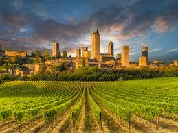 Tuscany - Vernaccia di San Gimignano
