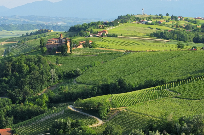 Piedmont - Grignolino d'Asti