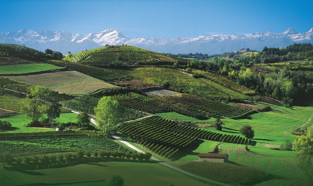 Piedmont - Langhe