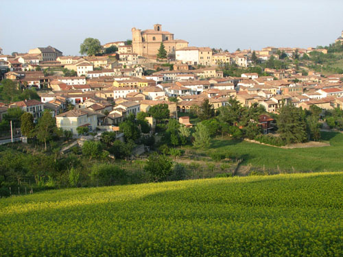 Piedmont - Malvasia di Casorzo