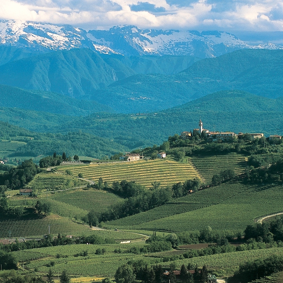 FVG - Collio Goriziano