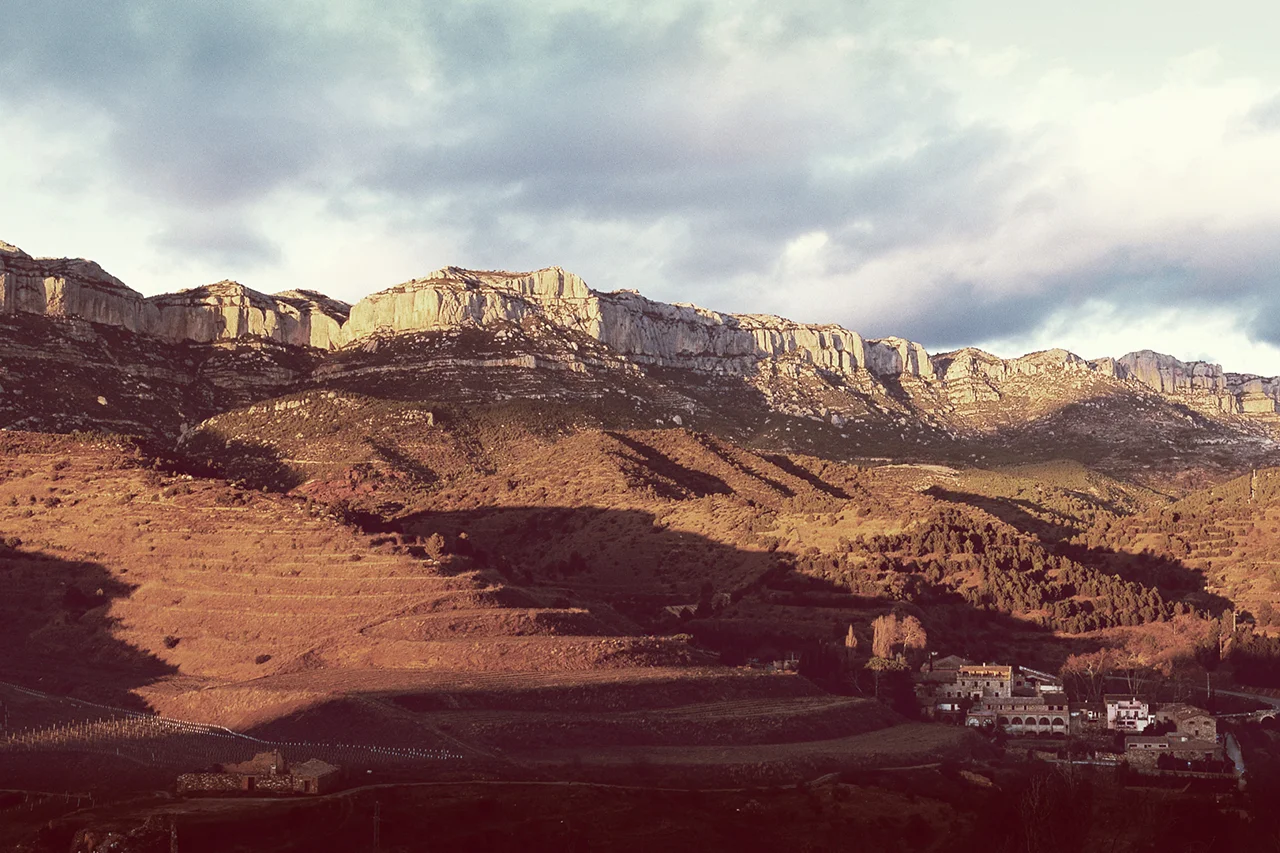 Orange is the New…Orange