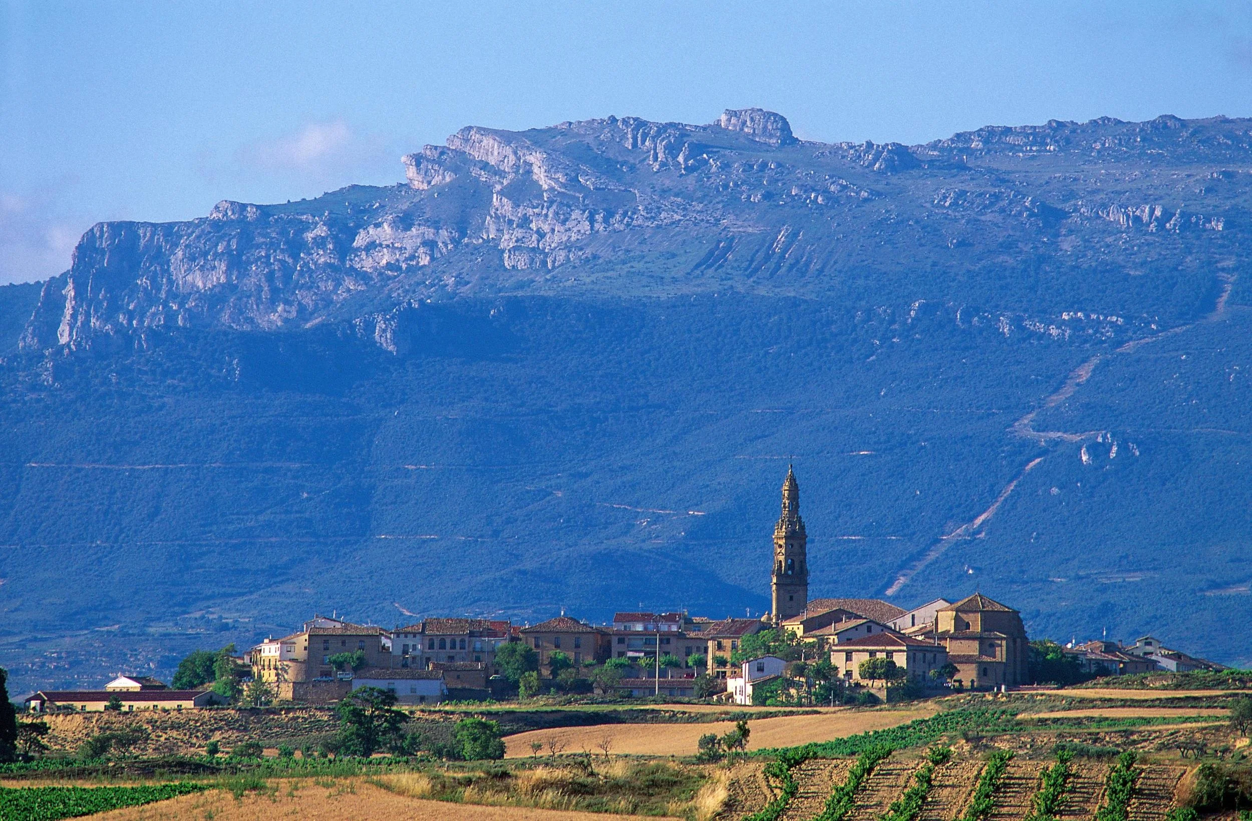   Rioja    Hilltop towns with monasteries and castles overlooking vineyards, underground caves for aging wine, bustling pintxos bars and a long history of producing Spain’s finest wines.  Rioja feels a world apart from the Basque Country nearby. Town