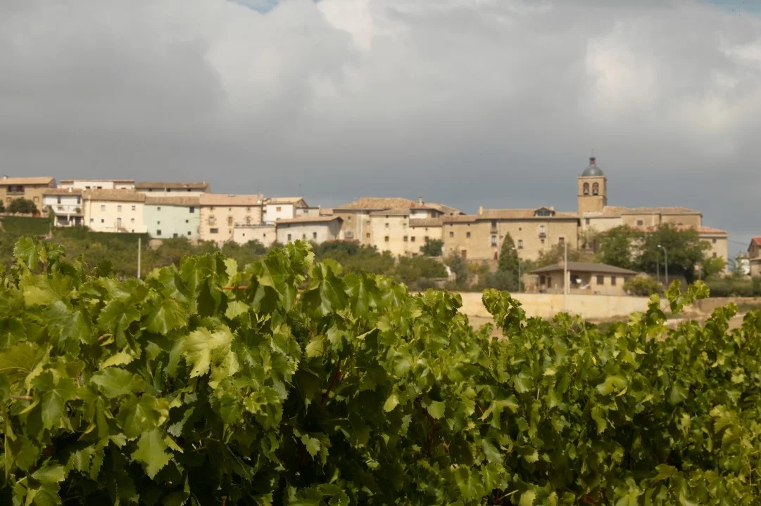 Ribera Del Duero &amp; Rioja Wine Tour