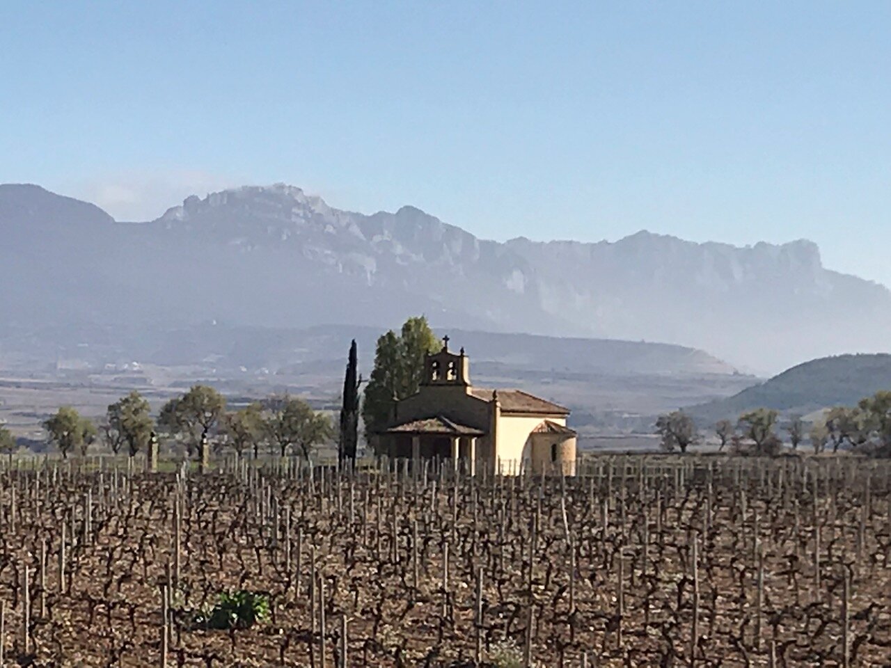rioja-vineyard-briñones