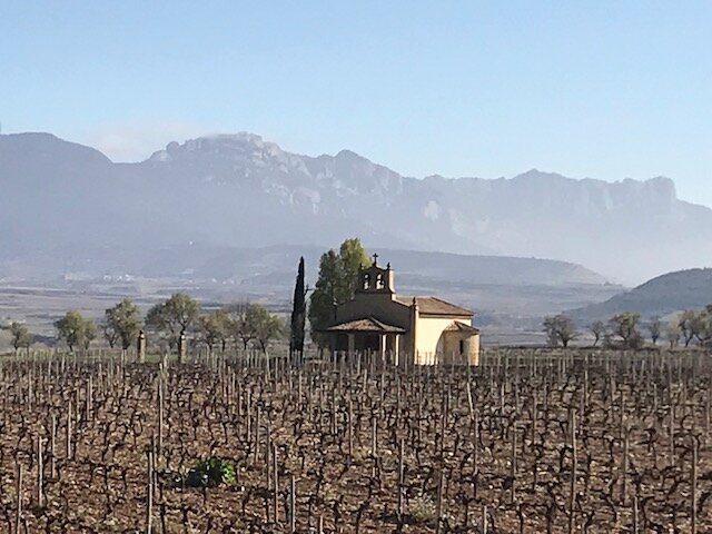 Rioja near Briñones.jpeg