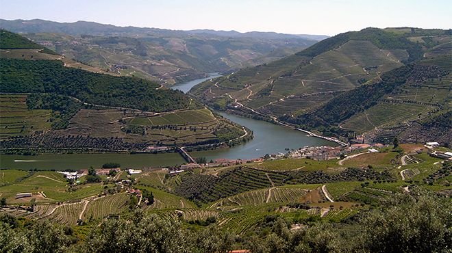Douro-river.jpg