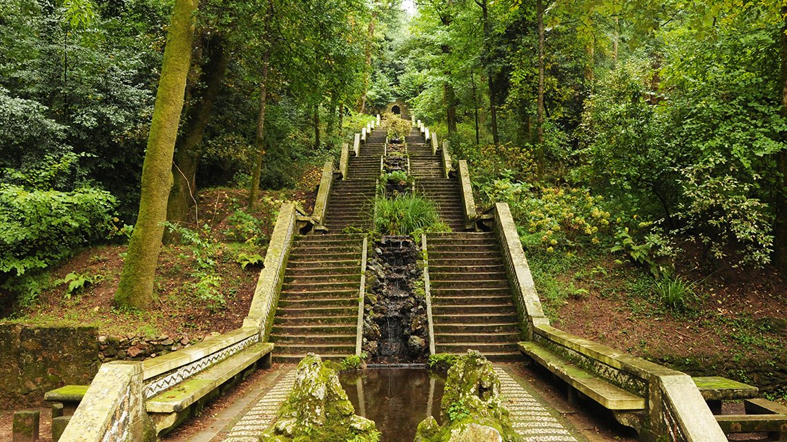 Garden-bairrada.jpg