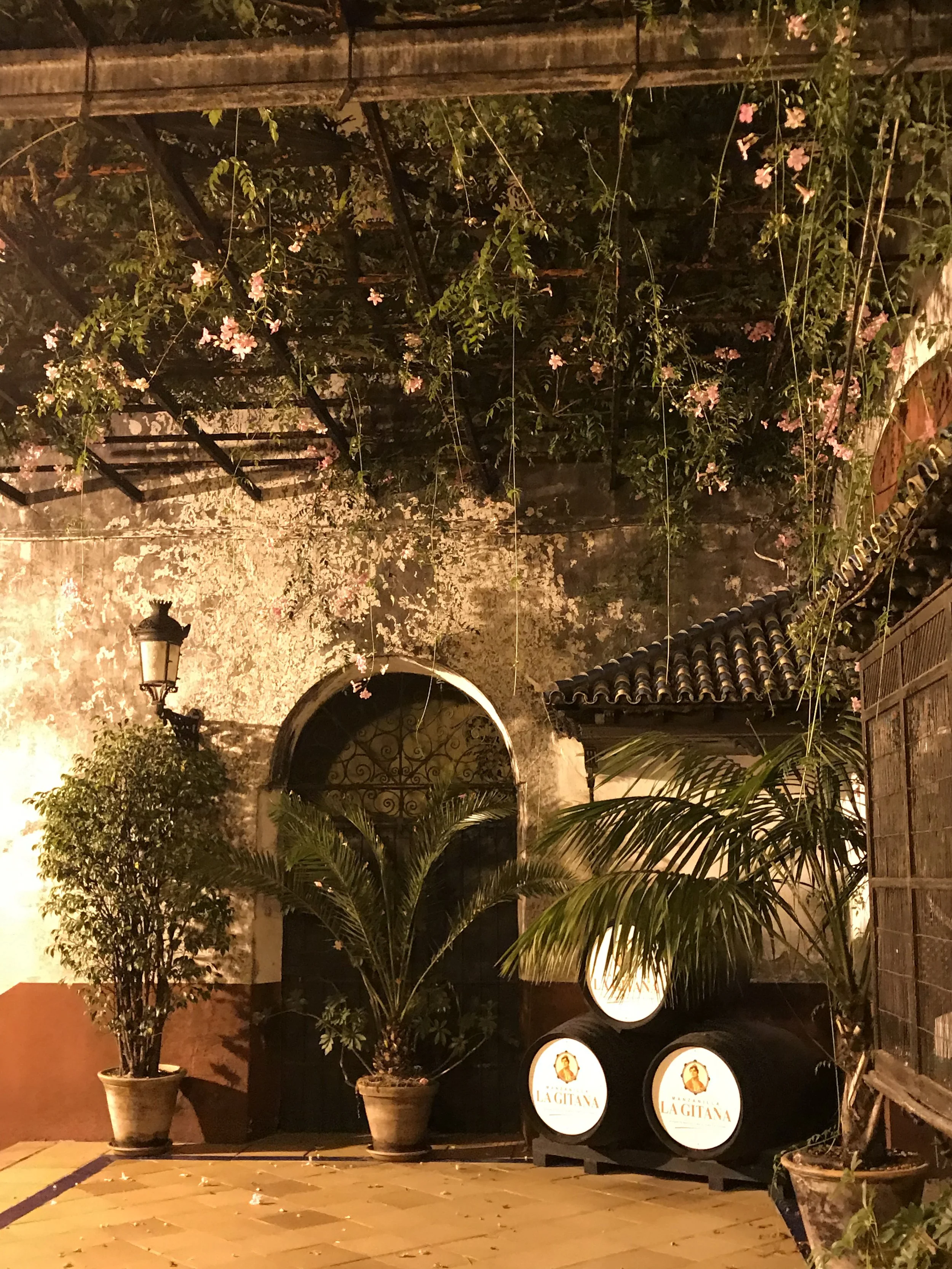 Restaurants in Andalusia: Tradition and Creation