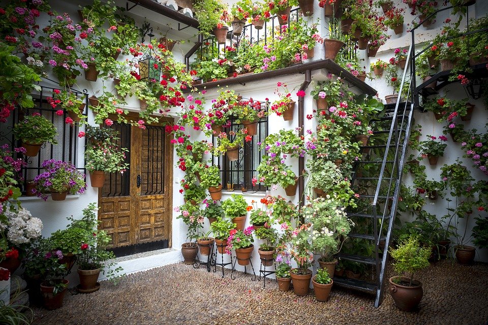 cordoba-patio.jpg