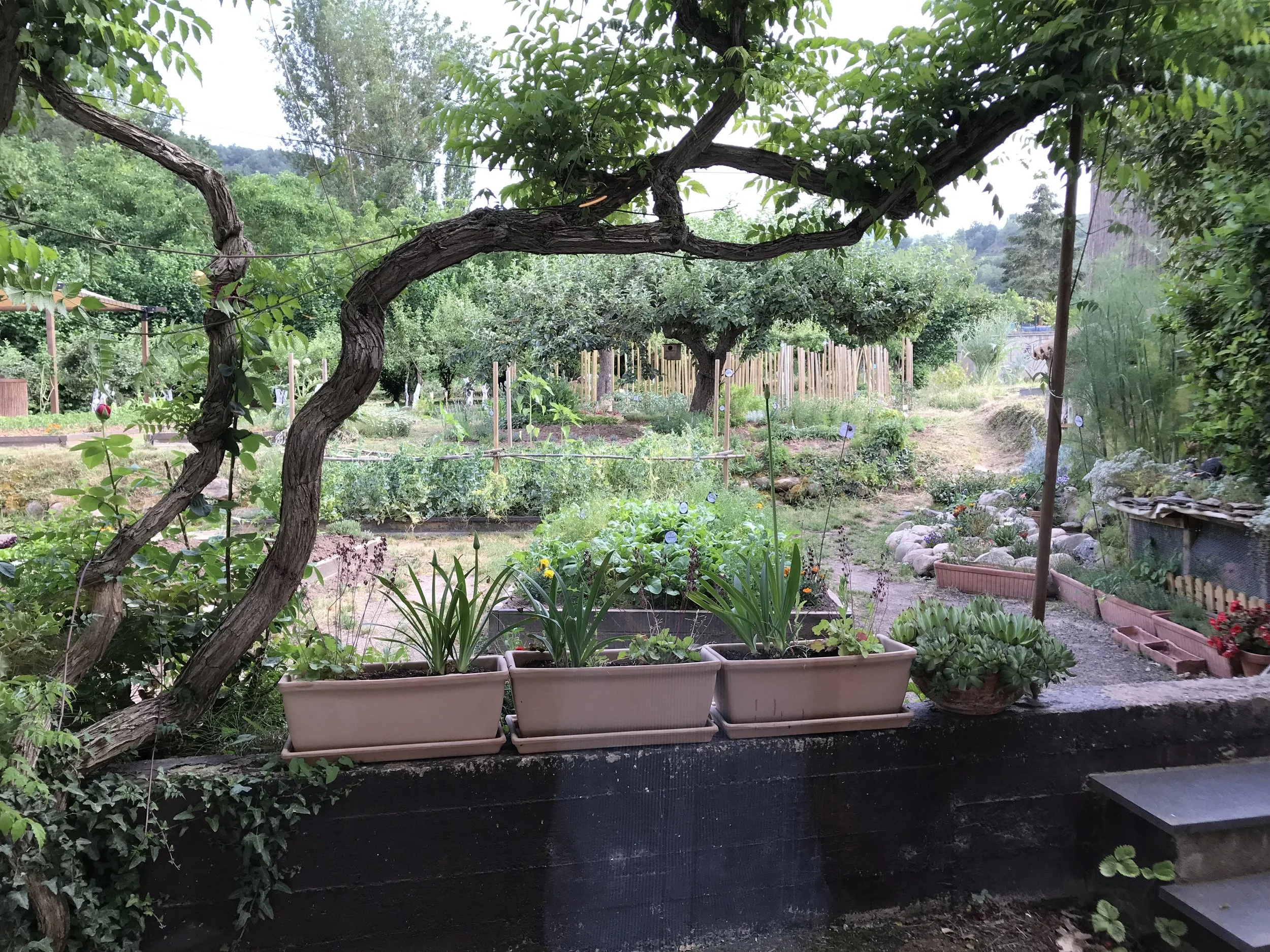 The Michelin Stars for Spain in 2023: Continued Success