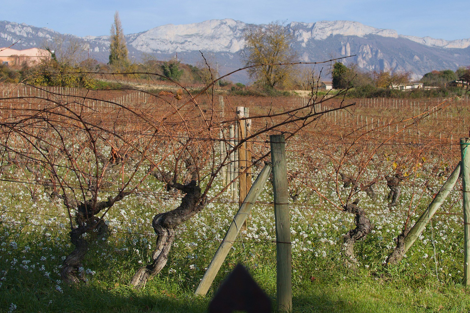 Eating in Rioja: The Best Wine Country Restaurants