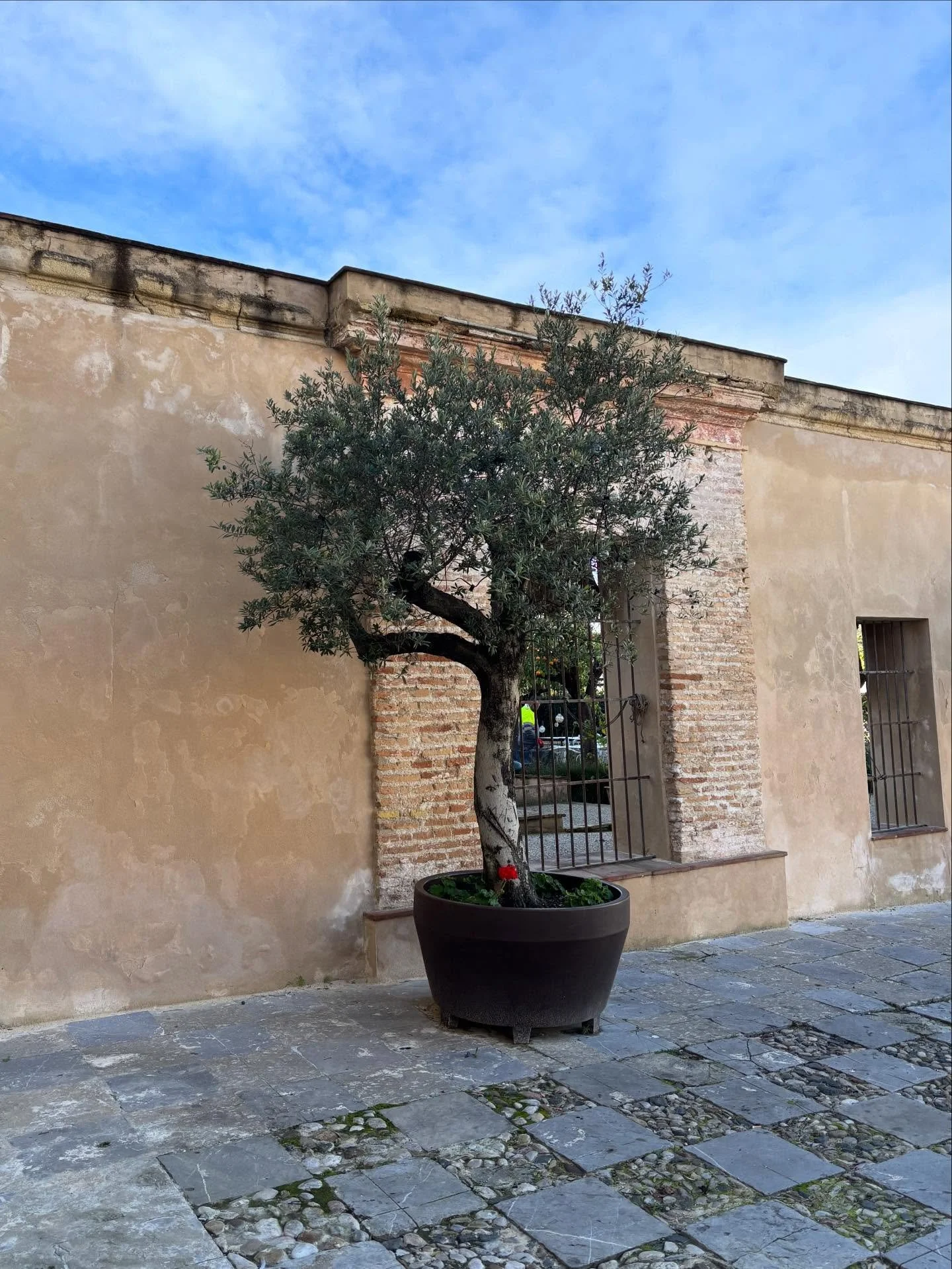 El sur del sur. Extreme southern Andalusia, aka C&aacute;diz. Always atmospheric, a world apart 

Escape with us to the South. 

#spaintravels #andalusia #spainfoodie #deepspain