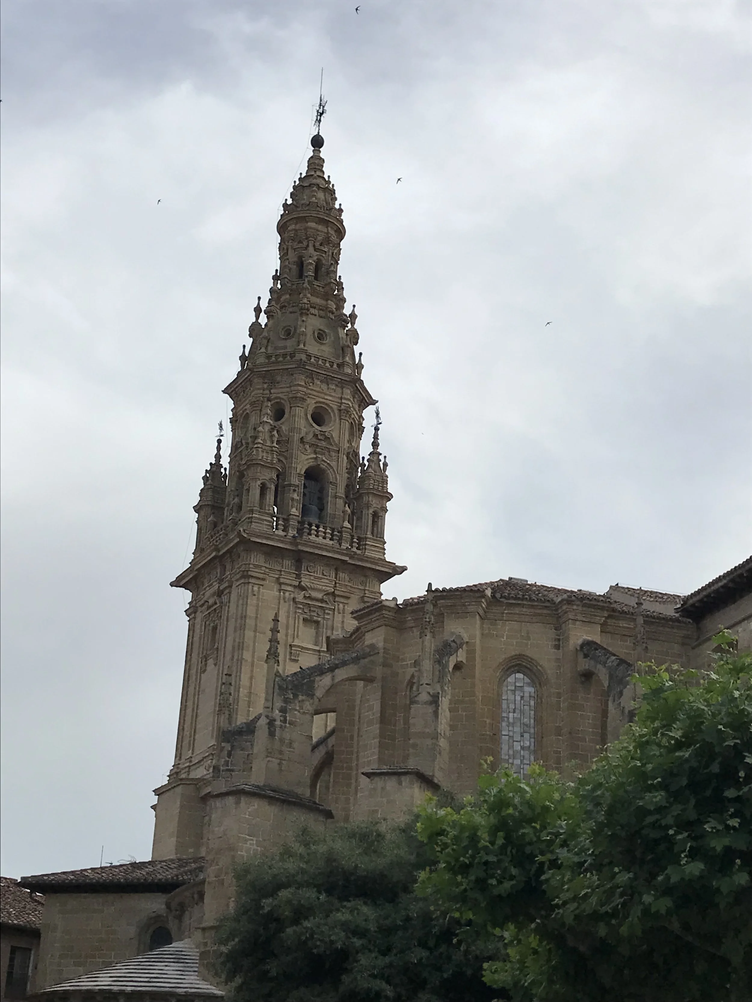 IMG_1297.jpeg