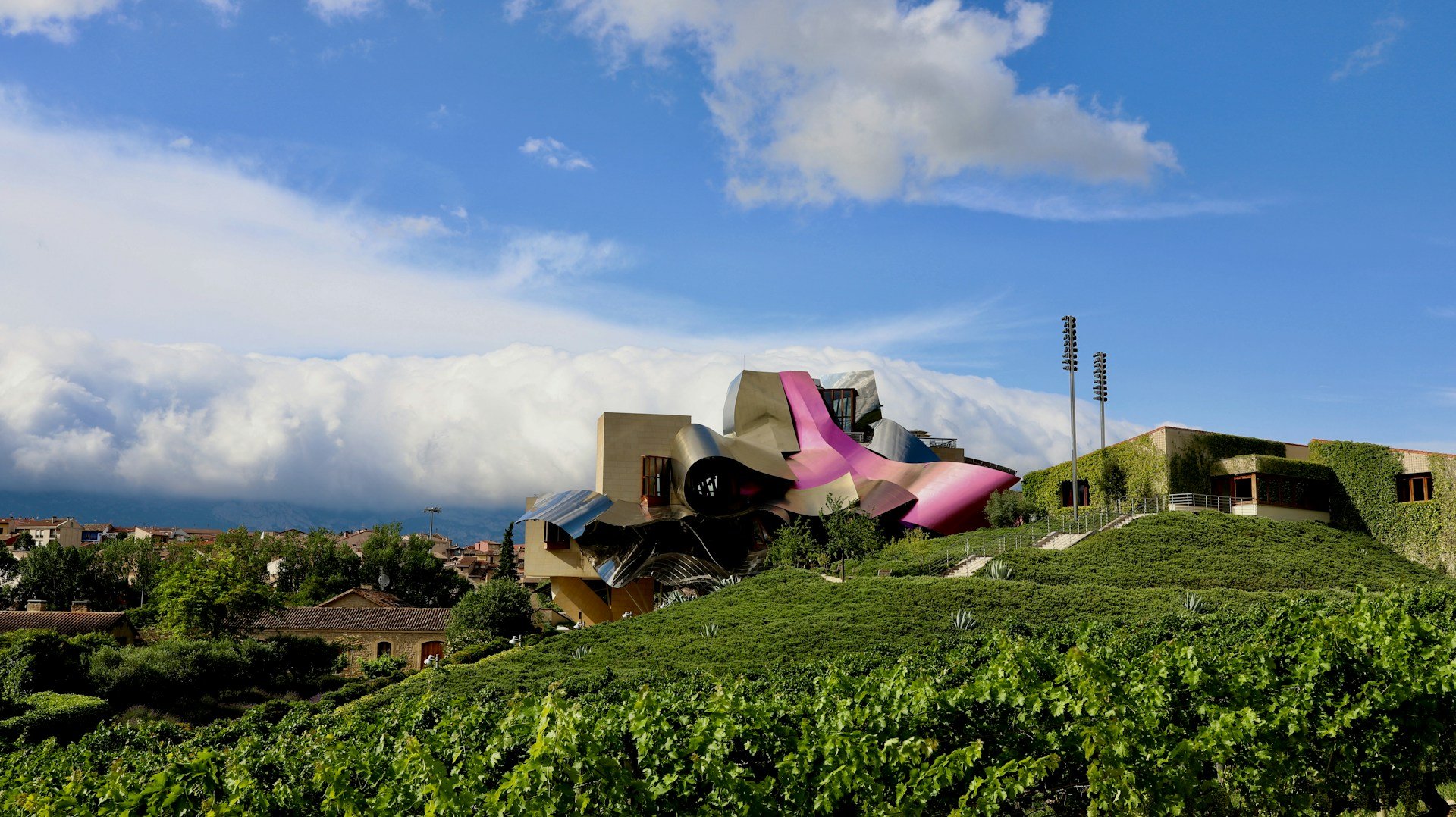 Rioja Marquez de Riscal.jpg