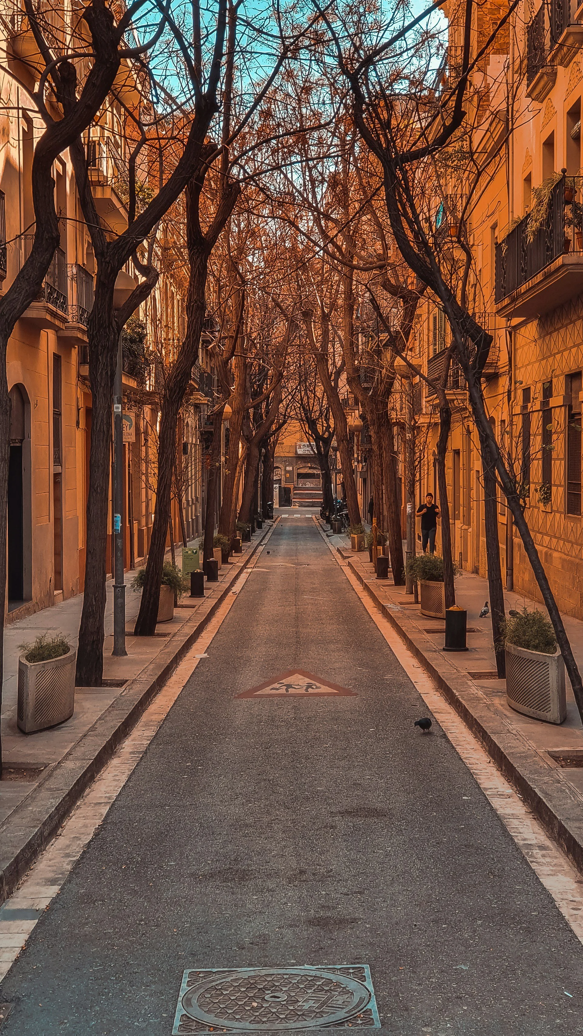 barcelona-street-scene.jpg