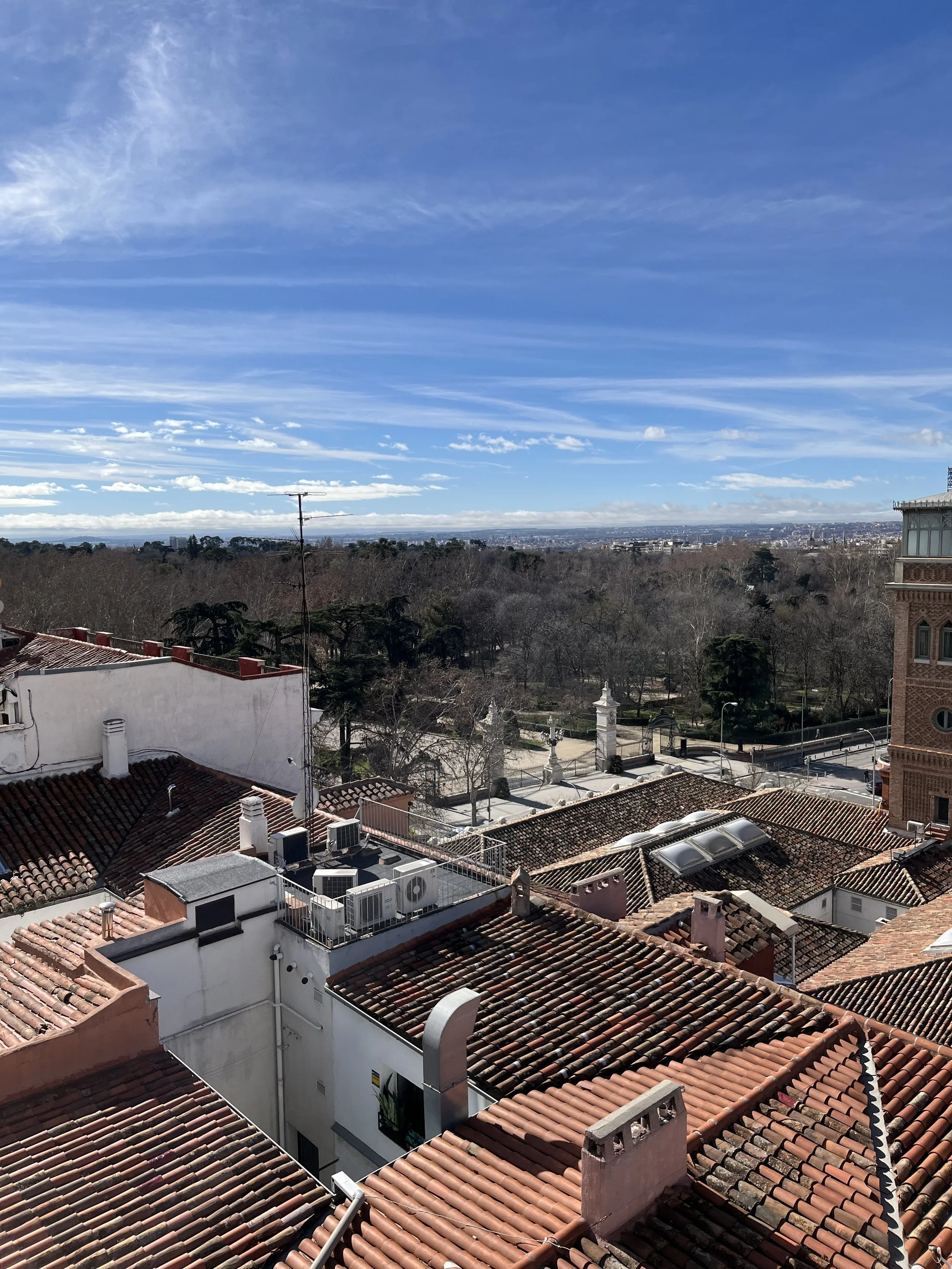 IMG_6724.jpeg