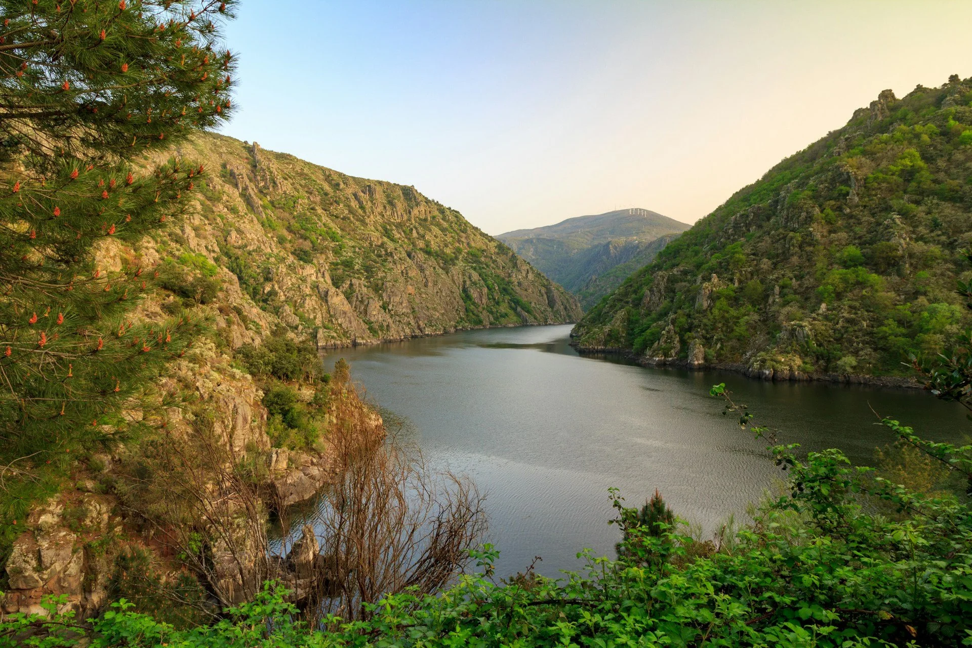 galicia-ribeira-sacra-river.jpg