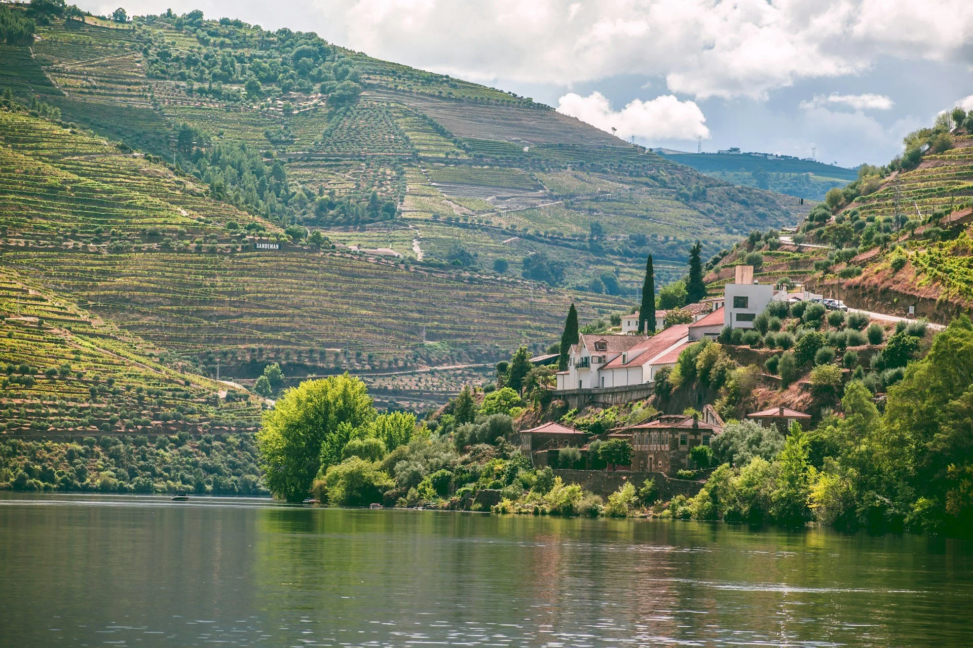douro river view.jpg