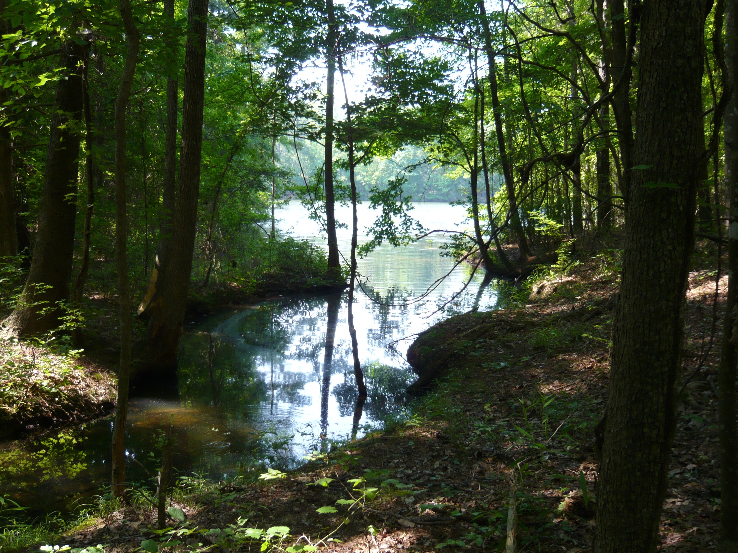 2008-06-22 22.45.39.jpg