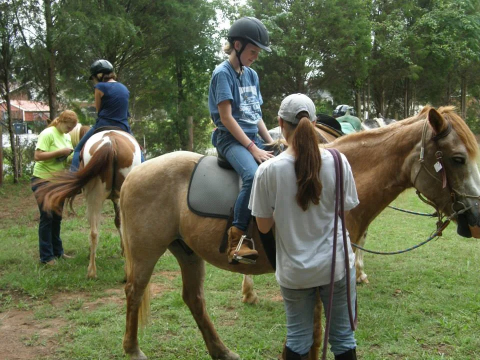 horse1.jpg