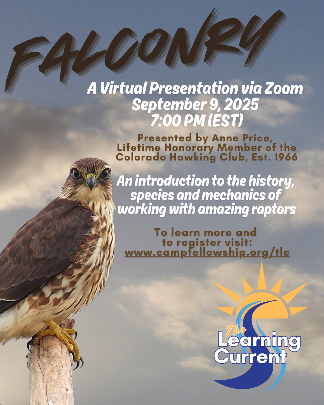TLC - Falconry Zoom Presentation