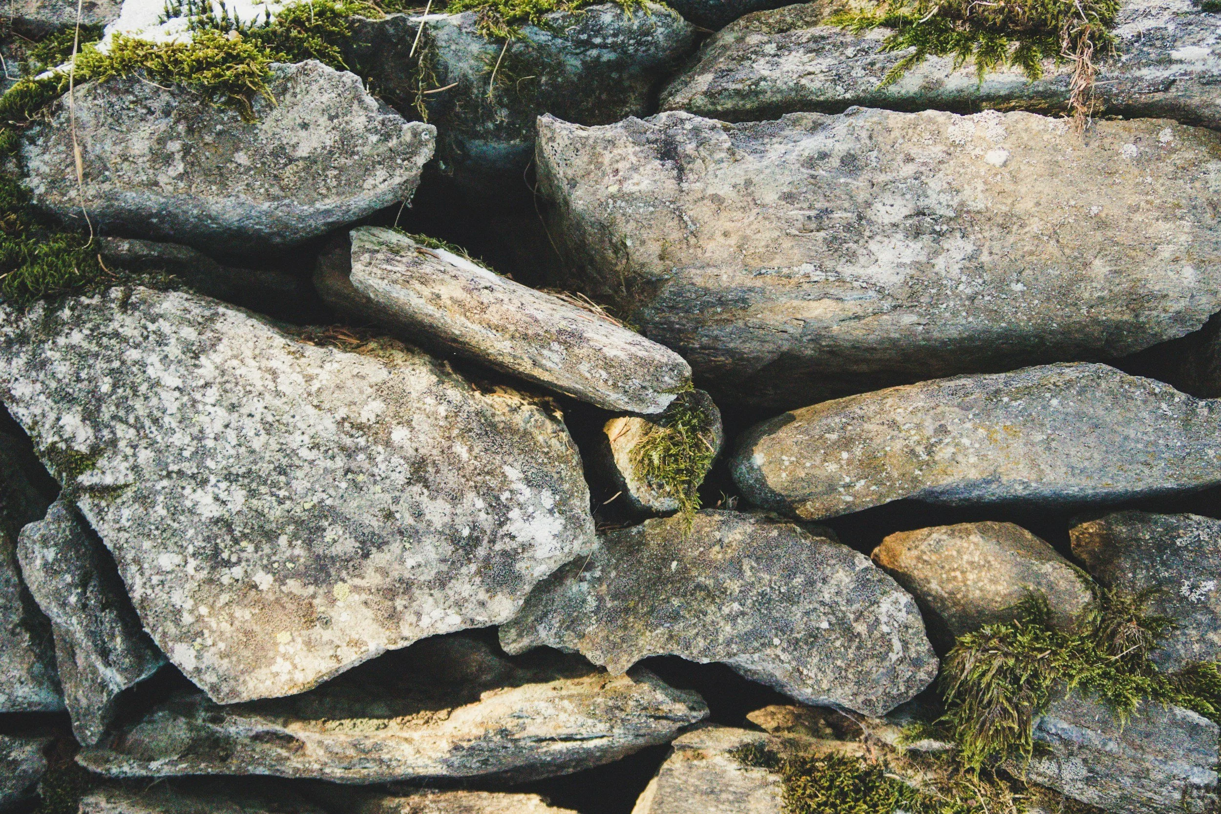“I Feel the Earth Move…” at Camp Fellowship