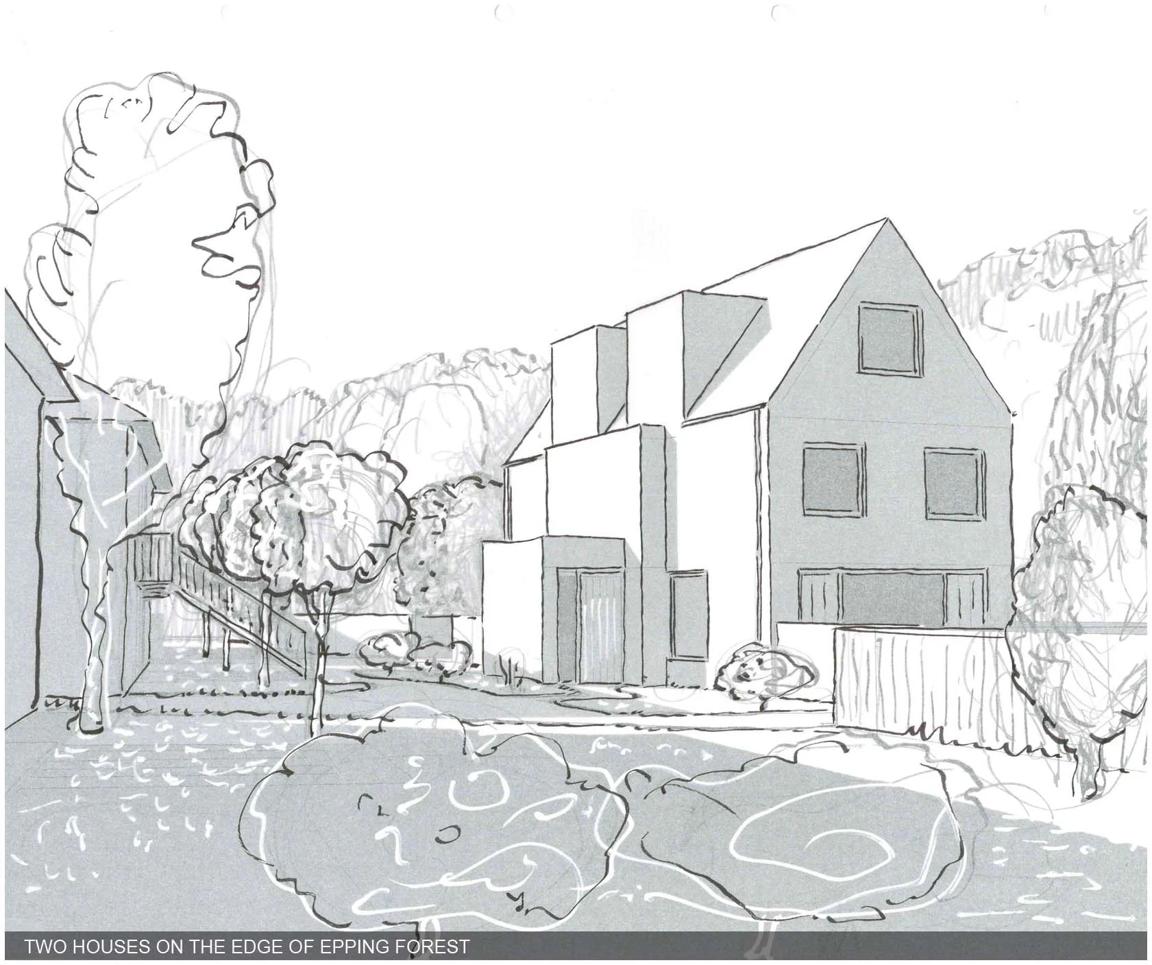 FOREST COURT 2.jpg
