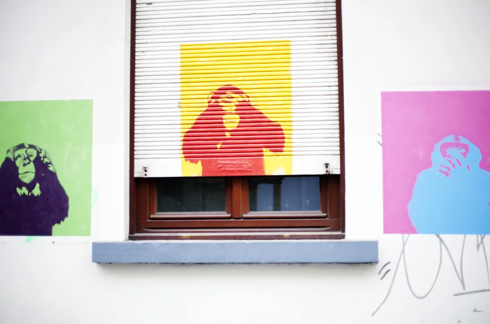 20110906.jpg