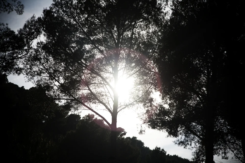 20110105_04.jpg