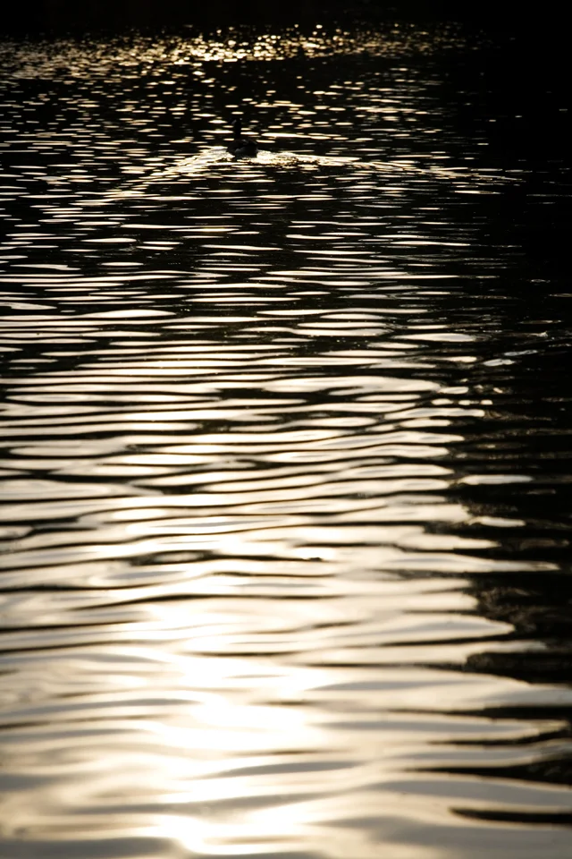 20110504.jpg