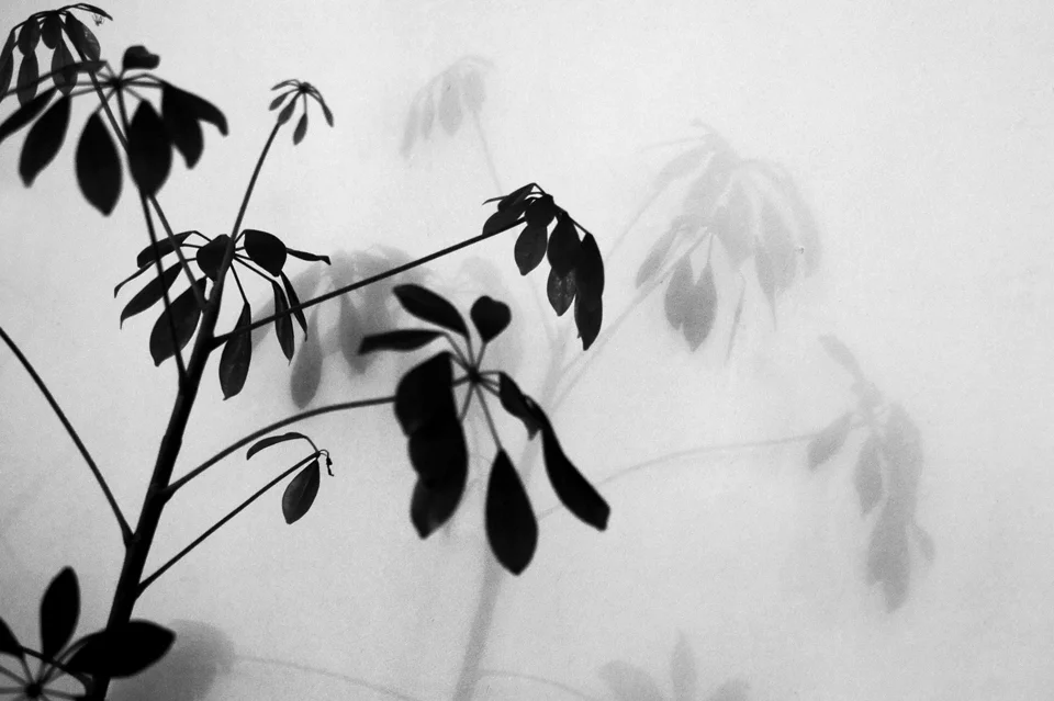 20110104.jpg