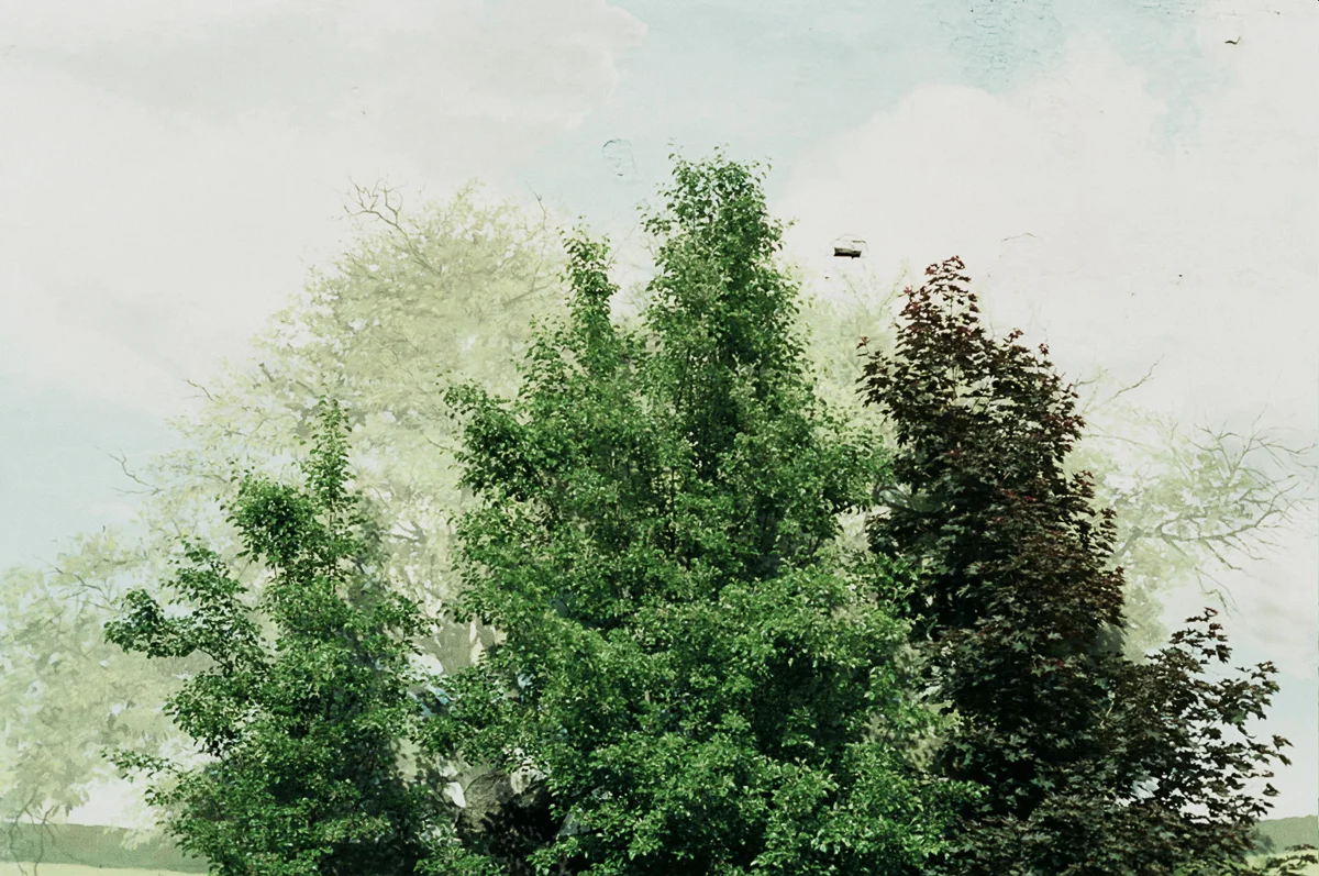 VAN_HR-__7_0206.jpg