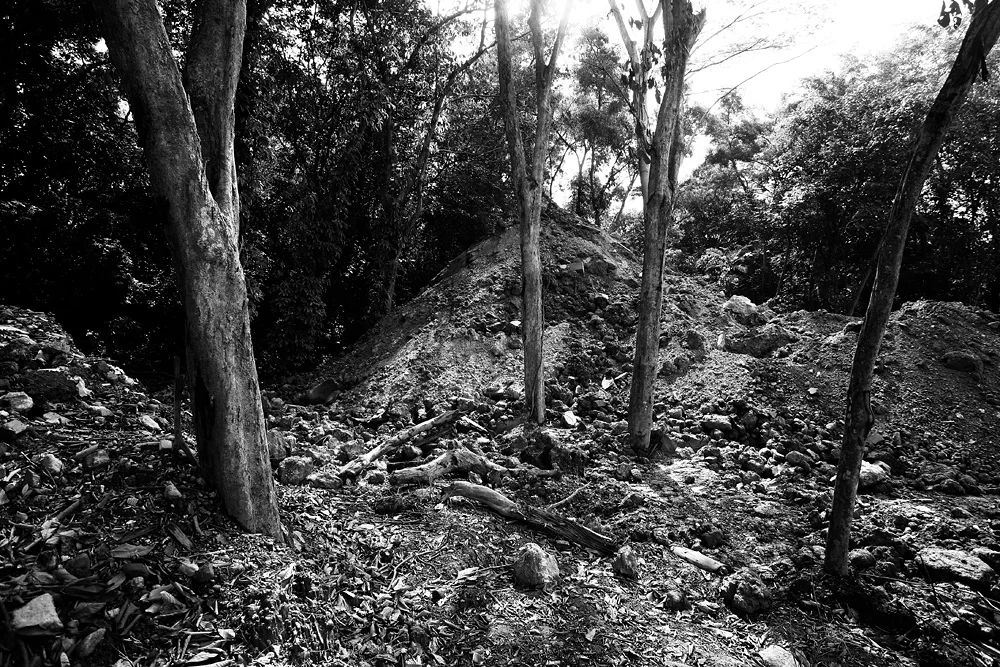 _MG_0020.jpg
