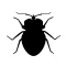 Bedbugs