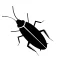 Cockroaches