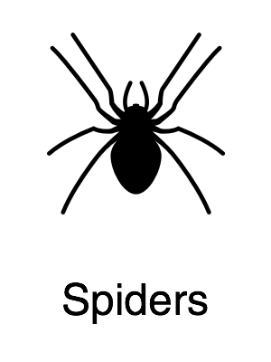 Spiders - Navigation@2x.jpg