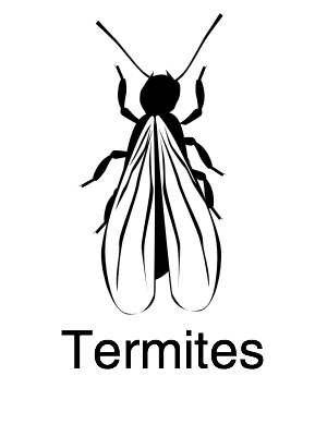 Termites - Navigation@2x.jpg