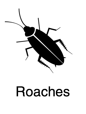 Roaches - Navigation@2x.jpg