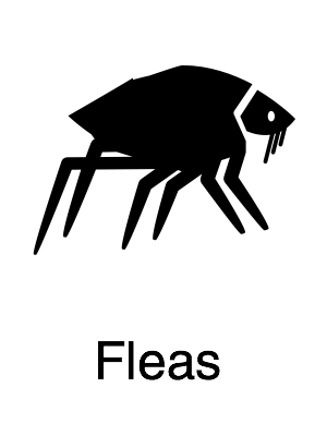 Fleas - Navigation@2x.jpg